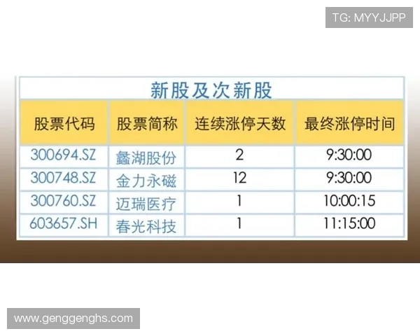 杭州排球队与深圳排球队赛后复盘分析团队配合与战术执行的关键因素